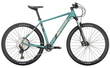 CONWAY MS 8.9, 29&quot;, RH 46cm (M), Moos-Platin metallic matt