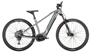 CONWAY Cairon S 2.0 625, 29&quot;, RH 45cm (M), Grey-Desert